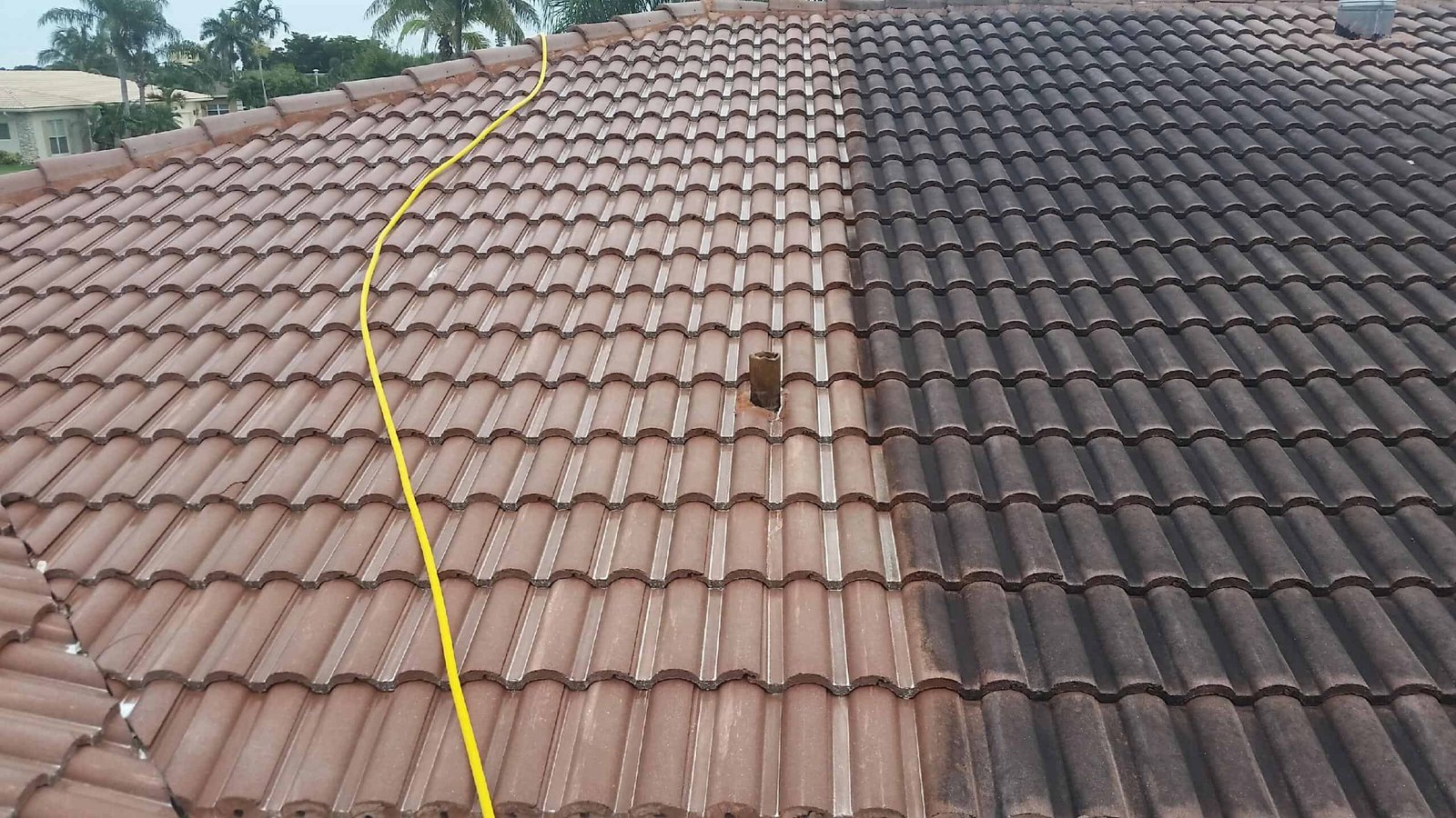 Low Pressure Roof Cleaning Service